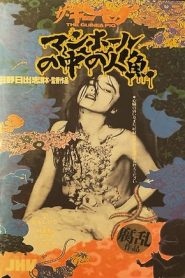 豚鼠系列之5:下水道的美人鱼