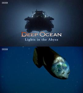 深海：深渊之光