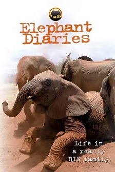大象日记 第二季