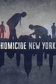 凶杀重案实录：纽约