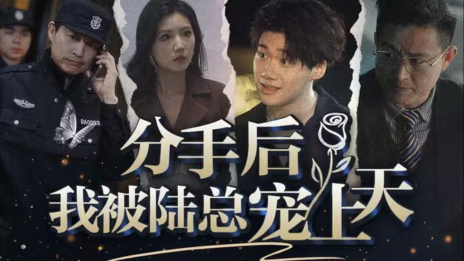 分手后,我被陆总宠上天
