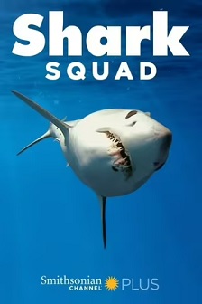 鲨鱼小队 第一季