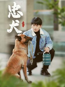 忠犬(短剧版)