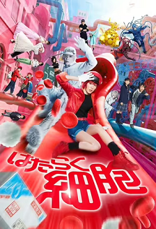 工作细胞