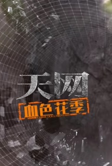 天网:血色花季