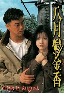 八月鬱金香