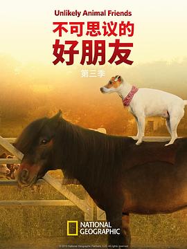 不可思议的好朋友 第三季
