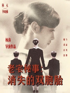 老宅秘事消失的双胞胎&消失的孩子