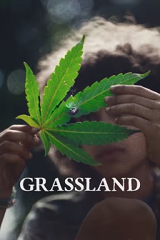 Beneath the Grass