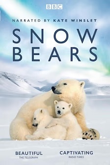 雪地求生：熊孩子的奇幻之旅