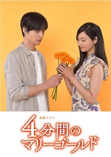四分钟的金盏菊