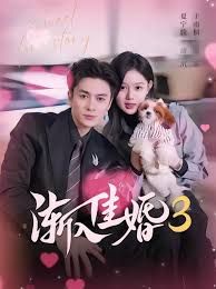 渐入佳婚3 第三部