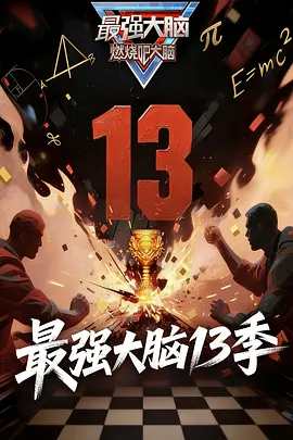 最强大脑 第十三季