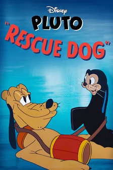 救援犬