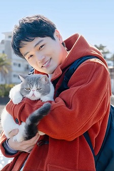 旅行和我和猫