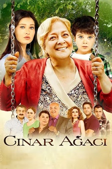 Çinar agaci