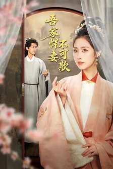 吾家悍妻不可欺