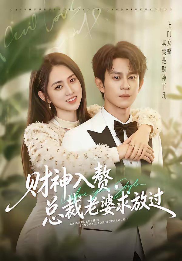 财神入赘,总裁老婆求放过