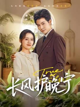 长风护晚宁