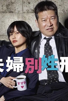 夫妇别姓刑警