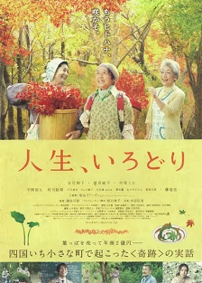 多彩人生
