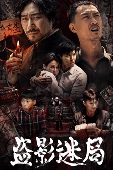 盗影迷局